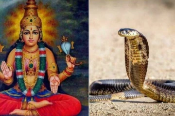 கனவில் பாம்பு வருகிறதா?காரணம் இது தான் கவனமாக இருங்கள்