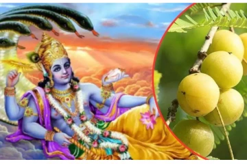 கஷ்டத்தை நீக்கி முன்னேற்றம் தரும் சுக்ல பக்ஷ ஏகாதசி - வழிபடுவது எப்படி?