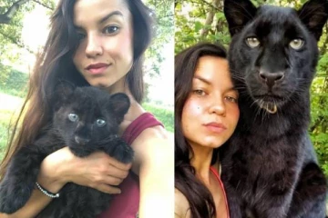 பூனை என நினைத்து கருஞ்சிறுத்தையை வளர்த்த ரஷ்ய பெண்!