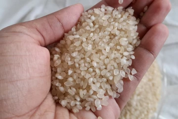 சம்பா அரிசி வகைகளின் விலைகள் மாற்றம்!