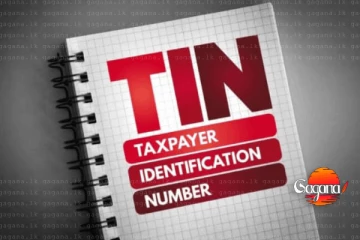 TIN ලියාපදිංචිය මිලියන 12කට ආසන්න සංඛ්‍යාවකට දීලා ඉවරලු..