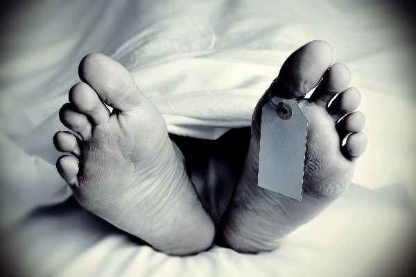 31 வருடங்களுக்கு முன் நடந்த கொலை..! சந்தேகநபர் கைது | Arrested Connection With The 1991 Murder 31 வருடங்களுக்கு முன் நடந்த கொலை..! சந்தேகநபர் கைது | Arrested Connection With The 1991 Murder