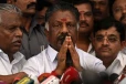 மக்களவை தேர்தல் - முன்னாள் முதல்வர் ஓ.பன்னீர்செல்வத்திற்கு சின்னம் ஒதுக்கீடு!