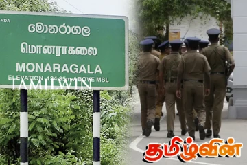 ஒரு ஏக்கர் நிலப்பரப்பில் கஞ்சா தோட்டம்: குடும்பஸ்தர் ஒருவர் கைது