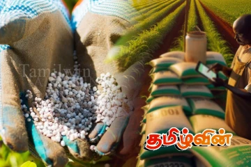 விவசாயிகளுக்கான மானியம் வழங்கல் தொடர்பில் வெளியான அறிவிப்பு