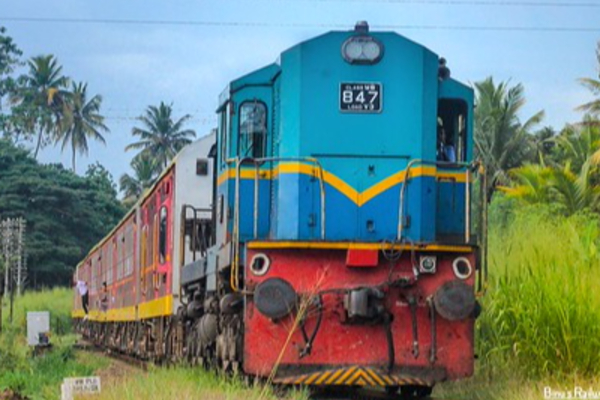 கொழும்பிலிருந்து சென்ற தொடருந்தில் சிக்குண்டுண்டு பலியான யானை.. பயணிகள் சிரமத்தில் | Fatal Accident In Kanthalai Elephant Died