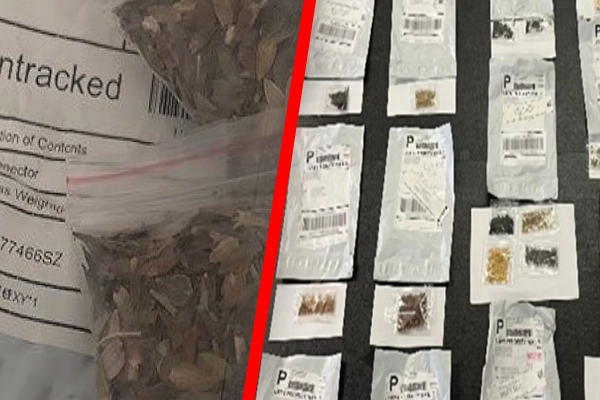 டெக்ஸாஸில் மர்மப் தபால் பொதிகள் தொடர்பில் எச்சரிக்கை | Warning In Texas Regarding Mysterious Packages