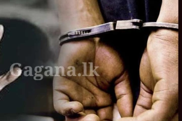 මෙතෙක් සොයාගත් විශාලම ගංජා තොගය සමග තිදෙනෙක් අත්අඩංගුවට