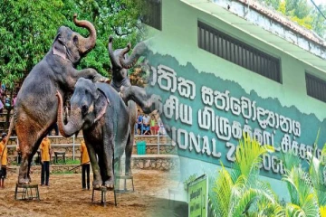 நாட்டில் அடுத்த ஆண்டு முதல் நடைமுறையாகிறது மற்றுமொரு கட்டணத் திட்டம்!
