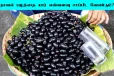 Jamun Fruit: நாவல் பழத்தை யார் எவ்வளவு சாப்பிட வேண்டும்?