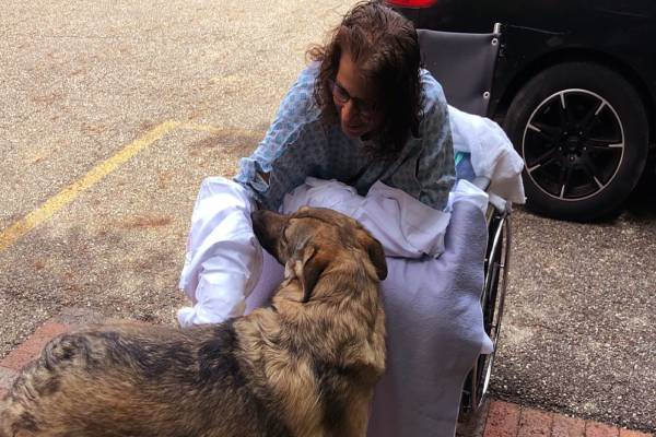 வளர்ப்பு நாய் நக்கியதால் கை கால்களை இழந்த பெண் | Woman Loses Limbs After Pet Dog Licks Her வளர்ப்பு நாய் நக்கியதால் கை கால்களை இழந்த பெண் | Woman Loses Limbs After Pet Dog Licks Her