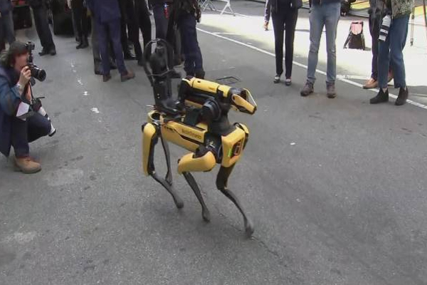 நியூயார்க்கில் காவல் பணியில் ஈடுபடும் ரோபோ நாய்! | Robot Dog In Police Work In New York