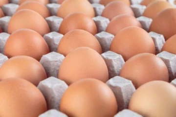 வெதுப்பக உரிமையாளர்களுக்கு வழங்கப்பட்ட 8 இலட்சம் முட்டைகள்!