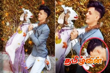 இந்து முறைப்படி ஆட்டுக்குட்டியுடன் திருமணம்: காதல் தோல்வியால் வினோத முடிவு..!