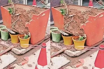 6 -வது மாடியில் இருந்து தவறி விழுந்த சிறுமியை காப்பாற்றிய பூந்தொட்டி.., ரீல்ஸ் எடுக்கும்போது விபரீதம்