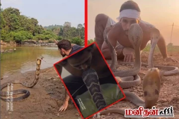 ராஜ நாகத்துக்கே லிப்லாக்கா? அசால்ட் பண்ணும் நபர்! பதறவைக்கும் வைரல் காணொளி