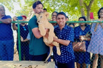 ரிதியாகம சபாரி பூங்காவில் 6 சிங்கக்குட்டிகளுக்கு பெயர் சூட்டப்பட்டது