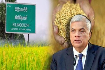 கிளிநொச்சி மக்களின் பிரச்சினைகளுக்கு தீர்வு - அதிபர் வெளியிட்ட மகிழ்ச்சி தகவல்