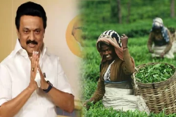 மலையகத் தமிழர் விழாவில் தமிழக முதல்வரின் காணொலிக்கு தடை: இந்திய அரசுக்கு எதிராக வலுக்கும் கண்டனம்