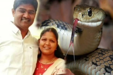 தகாத உறவில் கணவர்.. வேலைக்காரனுடன் மனைவி கூட்டு - பாம்பை வைத்து பரலோகம் அனுப்ப பிளான்!