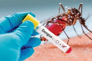 குழந்தைகளை பாதிக்கும் டெங்கு காய்ச்சல்! எப்படி தடுக்கலாம்?