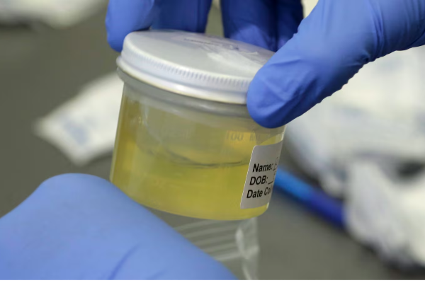 மனித சிறுநீரிலிருந்து மின்சாரம்: கனடிய ஆய்வாளர் விஜயா ராகவன் | Mcgill Researchers Optimize Conversion மனித சிறுநீரிலிருந்து மின்சாரம்: கனடிய ஆய்வாளர் விஜயா ராகவன் | Mcgill Researchers Optimize Conversion