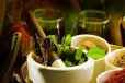 ஆயுர்வேத சட்டத் திருத்தத்திற்கு அமைச்சரவை அங்கீகாரம்