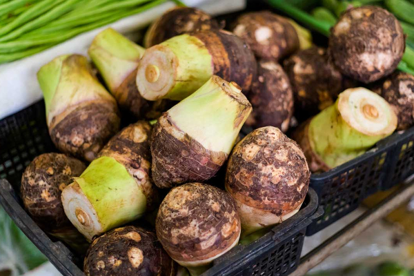 சேப்பங்கிழங்கு சாப்பிட்டால் சாகும் வரை கண் கோளாறுகள் நெருங்கவே நெருங்காது | Health Benefits Of Taro Root