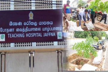 யாழ் போதனா வைத்தியசாலை வீதியில் மரநடுகை திட்டம்