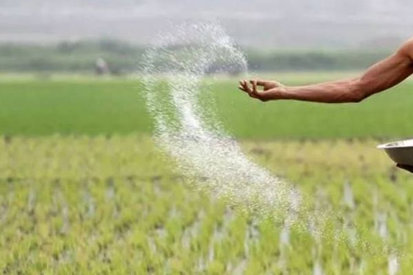 இலங்கையில் உர மூட்டையின் விலையில் ஏற்படவுள்ள மாற்றம்! | Change The Price Of Fertilizer Package Sri Lanka