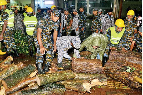 கொழும்பில் முறிந்து விழும் மரங்கள் : போக்குவரத்தில் பெரும் சிக்கல் | Trees Falls Colombo