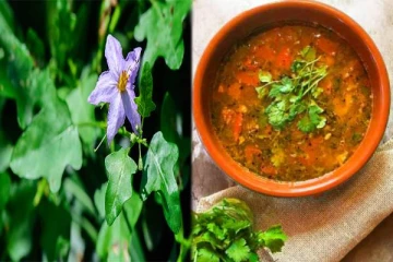 சளி, இருமலை விரட்டும் தூதுவளை ரசம்: கிராமத்து ஸ்டைலில் செய்வது எப்படி?