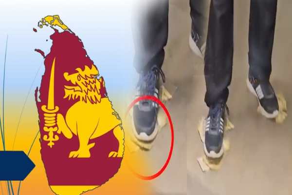 Orang Sri Lanka menginjak-injak dan menghancurkan jutaan uang! Video viral Orang Sri Lanka menginjak-injak dan menghancurkan jutaan uang! Video viral