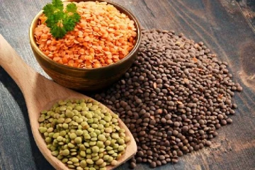 உறவில் கடும் விரிசல் இருந்தும் பருப்பு இறக்குமதிக்கு கனடாவை நம்பியிருக்கும் இந்தியா