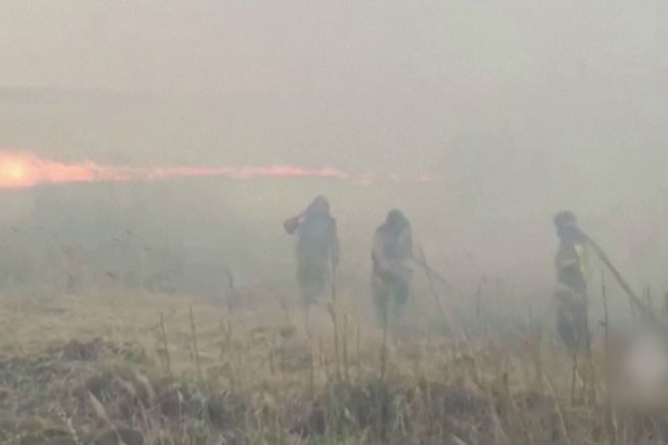 ரஷ்யாவின் காட்டுத்தீயில் சிக்கிய 4 பேருக்கு நேர்ந்த சோகம்! | Tragedy Happened 4 People Forest Fire In Russia