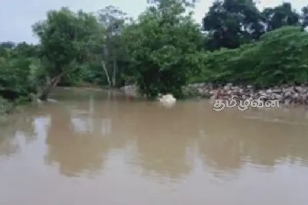 வவுனியா - பேராறு நீர்த்தேக்க வான் கதவுகள் திறப்பு: மக்களுக்கு விடப்பட்ட காேரிக்கை | Special Announcement For Peoples Regs Peraru River