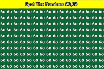 Optical illusion: இந்த “60” களில் இரண்டு இலக்கங்களான “69,90” எங்கே மறைந்துள்ளது?