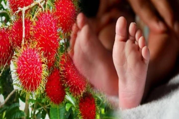 ரம்புட்டான் பழத்தை விழுங்கிய பத்து வயது சிறுவன் பலி - காங்கேசன்துறையில் சம்பவம்