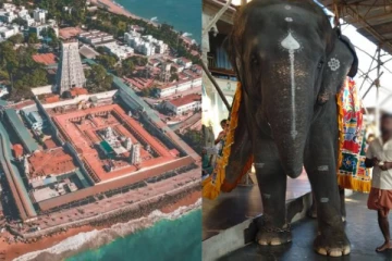 பழம் கொடுத்த போது நேர்ந்த சோகம் - திருச்செந்தூர் கோவில் யானை மிதித்து இருவர் உயிரிழப்பு