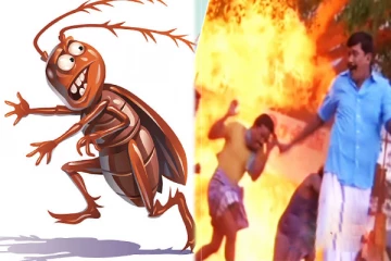 ஒரே ஒரு கரப்பான் பூச்சிதான்.. - அதை கொல்ல முயன்று வீட்டையே வெடிக்க வைத்த நபர்!