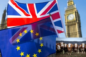 பிரித்தானியாவின் சீஸ், இறைச்சி தடை., ஐரோப்பிய ஒன்றியத்துடன் புதிய பதற்றம்