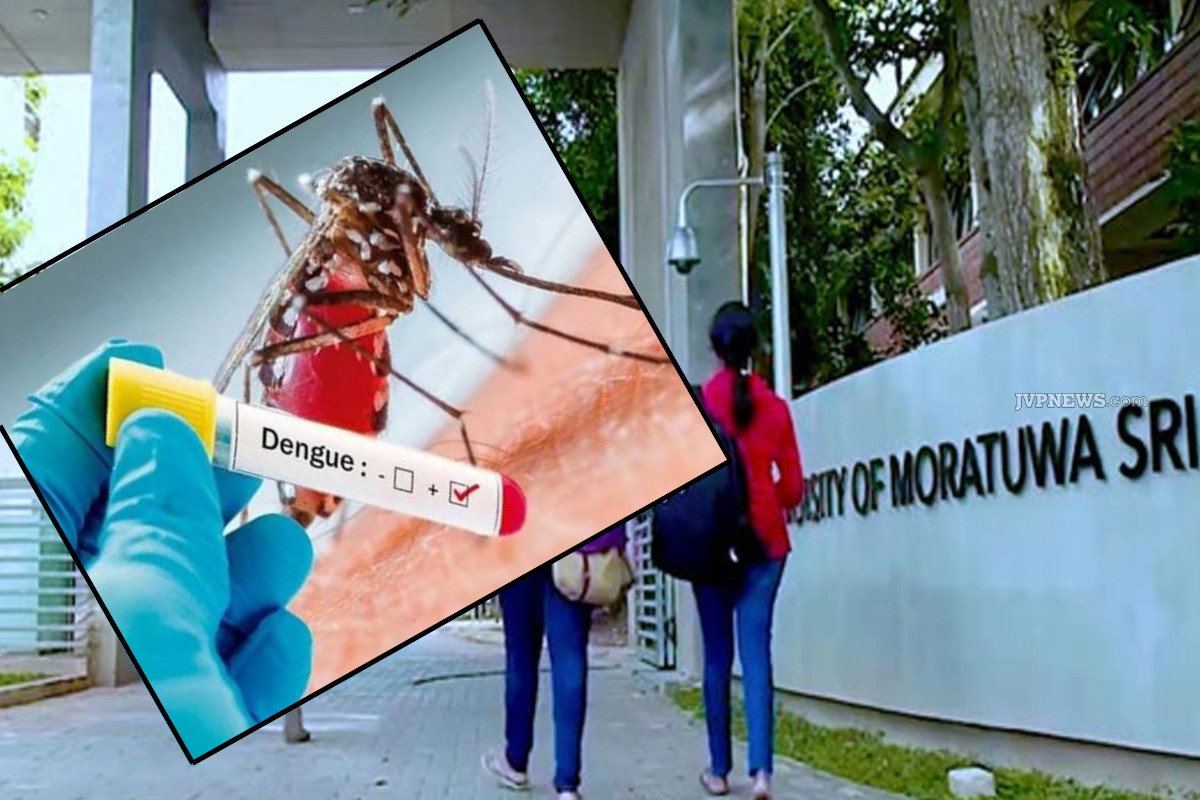 டெங்கு பரவலால் மொரட்டுவை பல்கலைக்கழகத்திற்கு பூட்டு! | Moratuwa University Closed Due To Dengue Outbreak