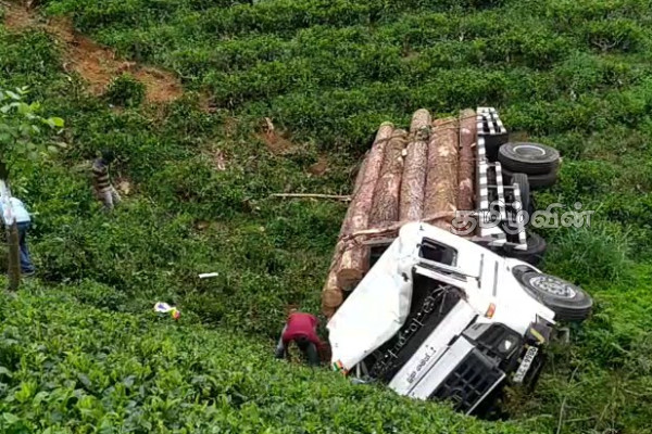 மரக்குற்றிகளை ஏற்றிச் சென்ற லொறி பள்ளத்தில் விழுந்து விபத்து | Lorry Carrying Pine Trees Crashes