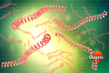 දිස්ත්‍රික්ක දොළහක දරුණු රෝගයක් පැතිරිලා