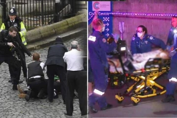 அவுஸ்திரேலியாவில் காவல் துறையினரை தாக்க முயன்ற தமிழர்: இறுதியில் சுட்டுக் கொன்ற பொலிஸார்