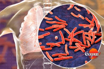 ලොව මාරාන්තිකම බෝවන රෝගය යළි හිස ඔසවයි - WHO අනතුරු අඟවයි