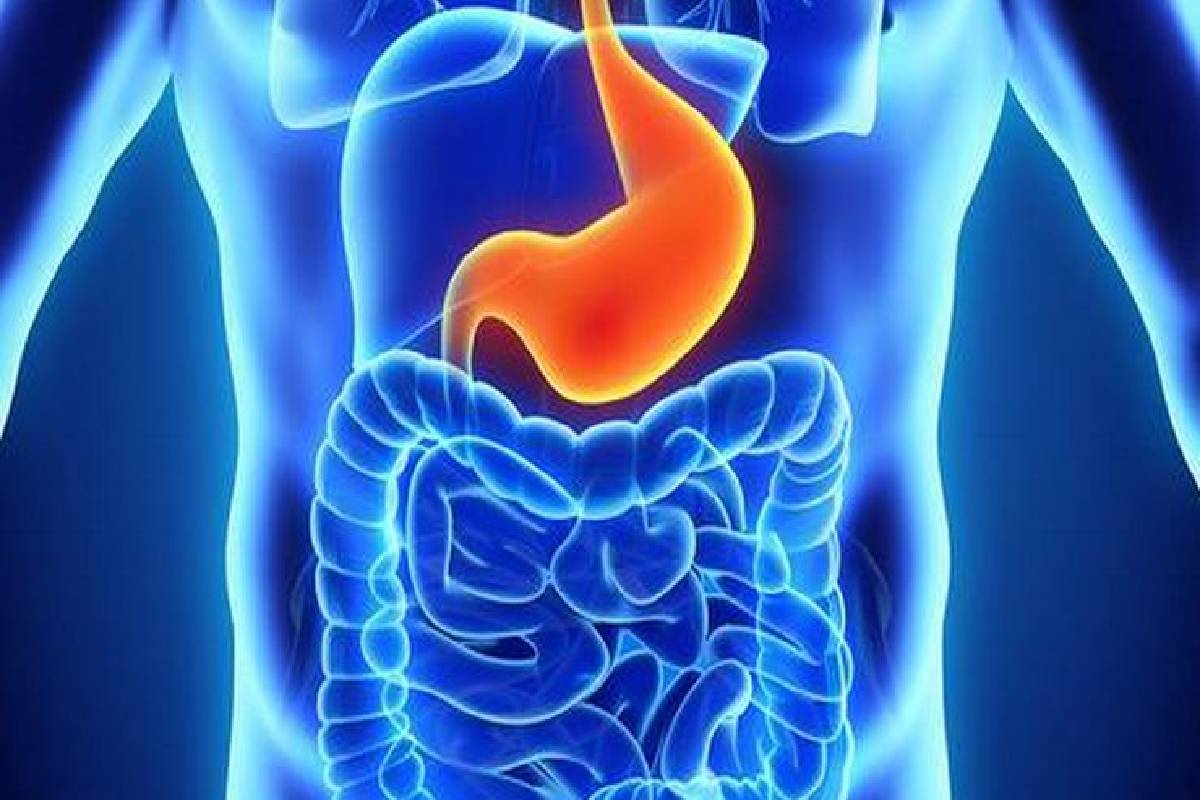 நீரிழிவு நோயாளிகள் மாம்பழம் சாப்பிடலாமா கூடாதா? நிபுணர் விளக்கம் | Can Diabetics Eat Mangoes Not Expert Explanation