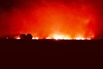 சம்மாந்துறையியில்  3 நாட் களாக எரியும் நாணல் காடுகள்!