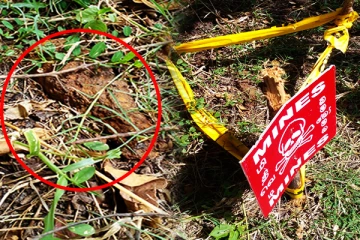 வவுனியா - தாண்டிக்குளத்தில் மோட்டார் குண்டு மீட்பு