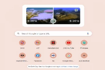 இன்றைய நாளை சிறப்பித்த கூகுள் நிறுவனம்!